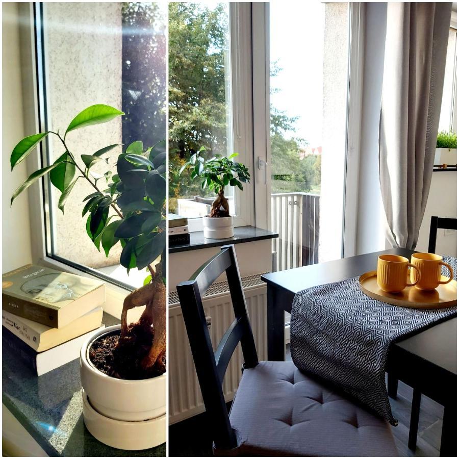 Be In Gdansk Apartments- Studio Podwale المظهر الخارجي الصورة